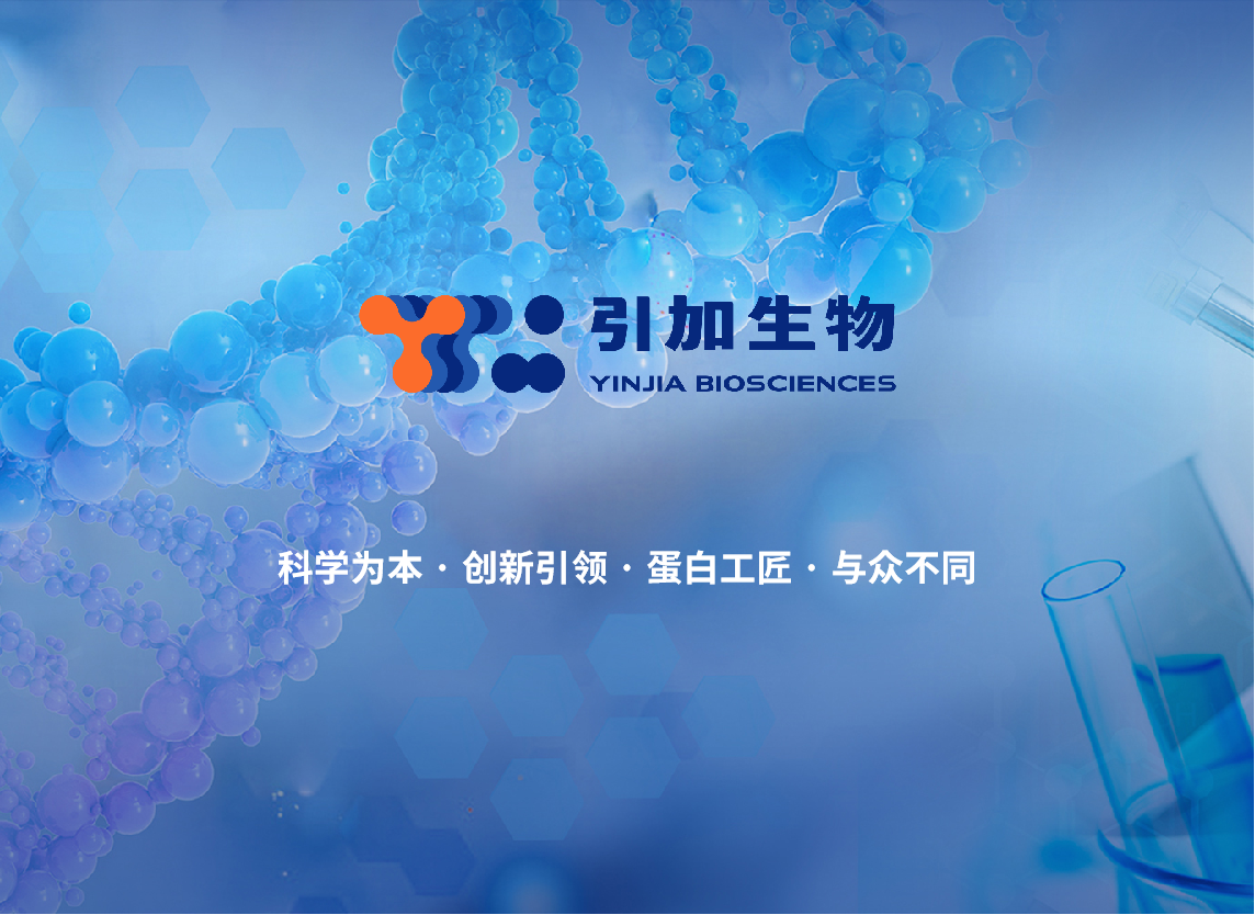 堿性磷酸酶（ALP）快速偶聯(lián)試劑盒