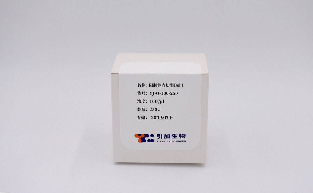 限制性內(nèi)切酶系列